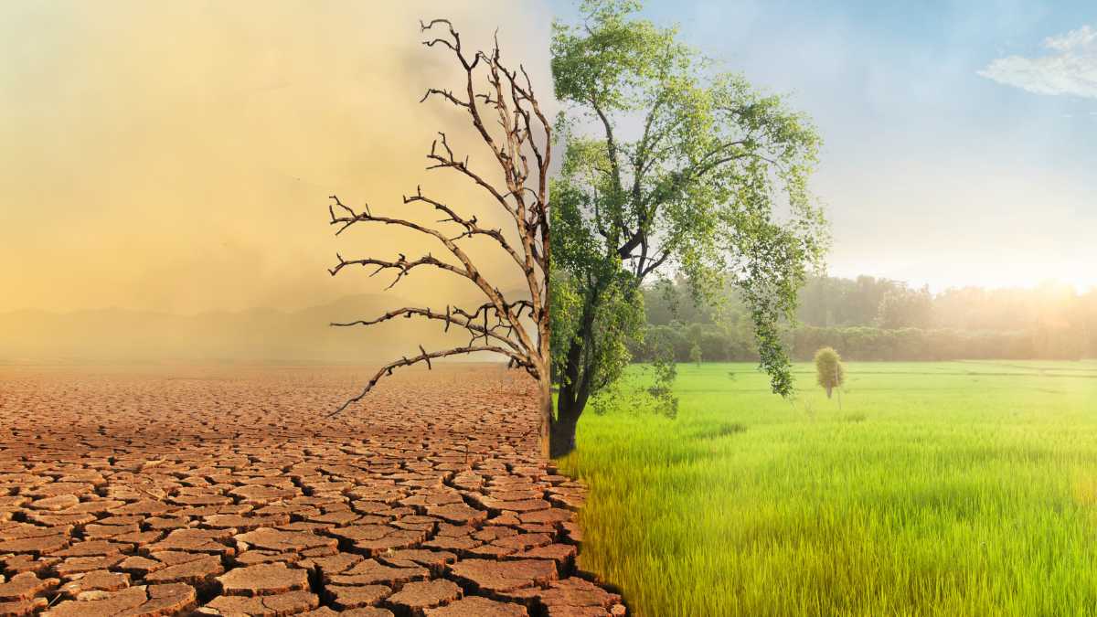 Fatores que influenciam o clima