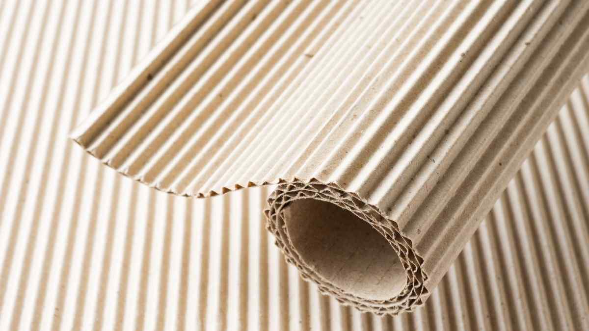 Papelão ondulado, o que eu preciso saber?