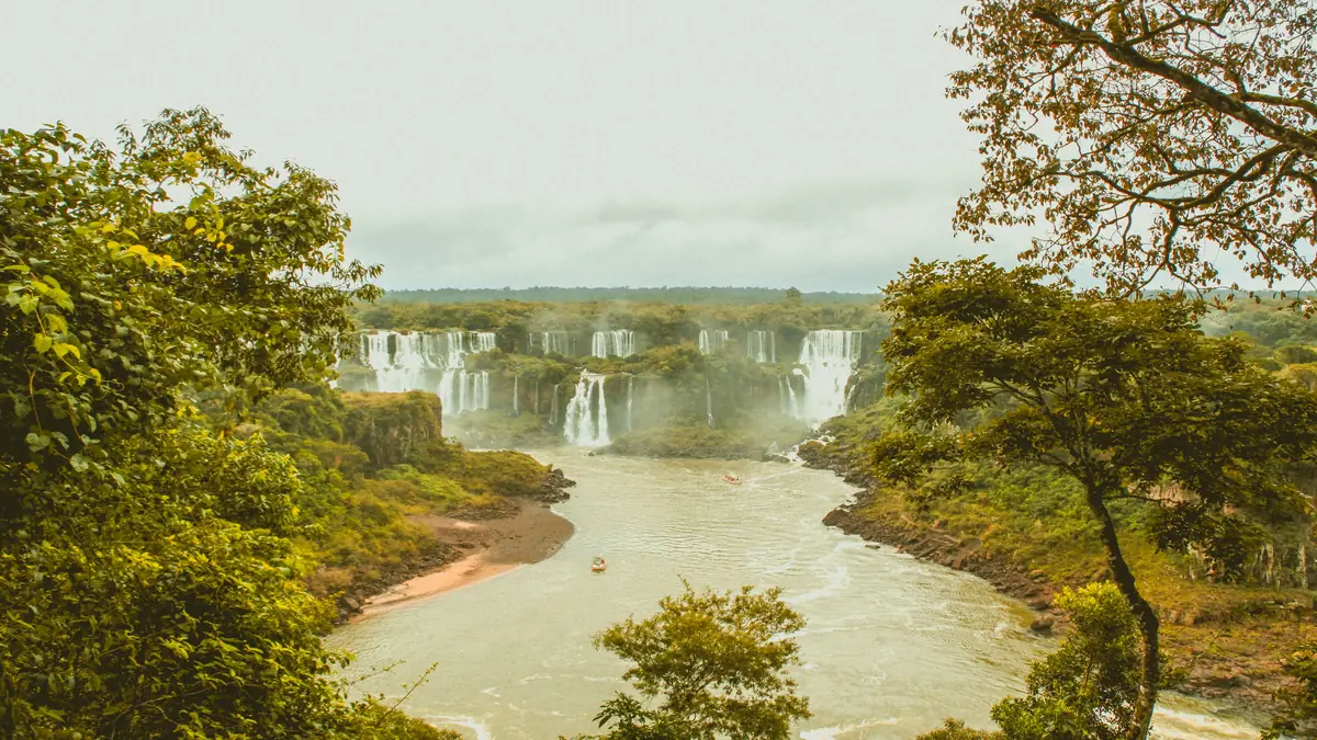 A fauna do Parque Nacional do Iguaçu
