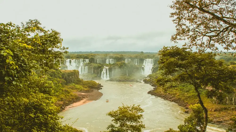 A fauna do Parque Nacional do Iguaçu