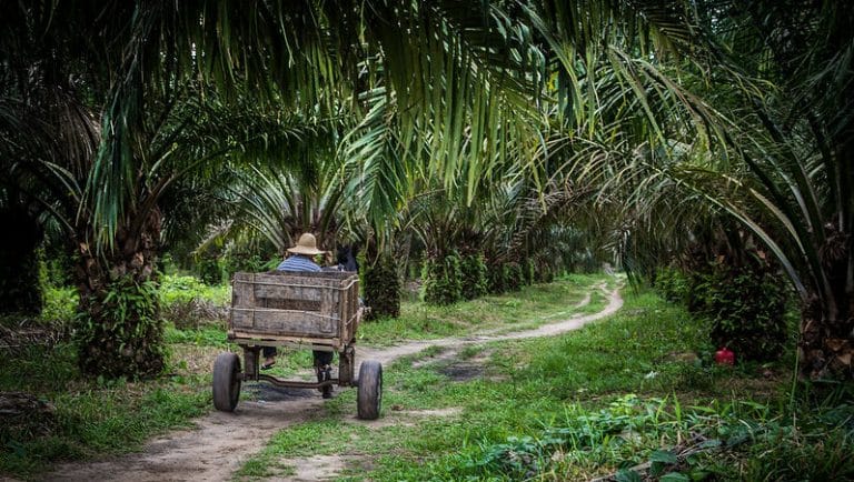 Brasil estabelece meta ‘indicativa’ de neutralidade de carbono até 2060