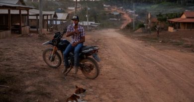 Incentivados por Bolsonaro, grileiros avançam em território indígena da Amazônia