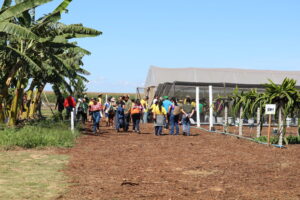 Emater leva circuito de fruticultura à AgroBrasília 2026