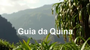 Guia da Quina: Formato, Prêmios e Onde Acompanhar